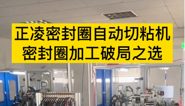 「视频」正凌密封圈自动切粘机--密封圈加工破局之选！